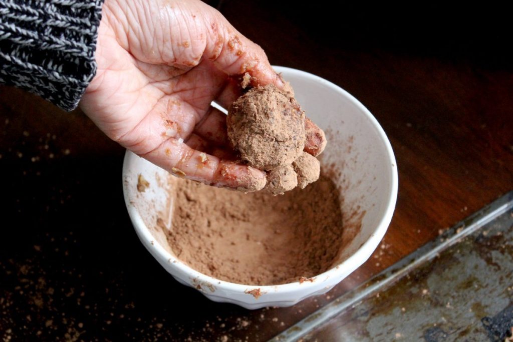 Cocoa Date Balls